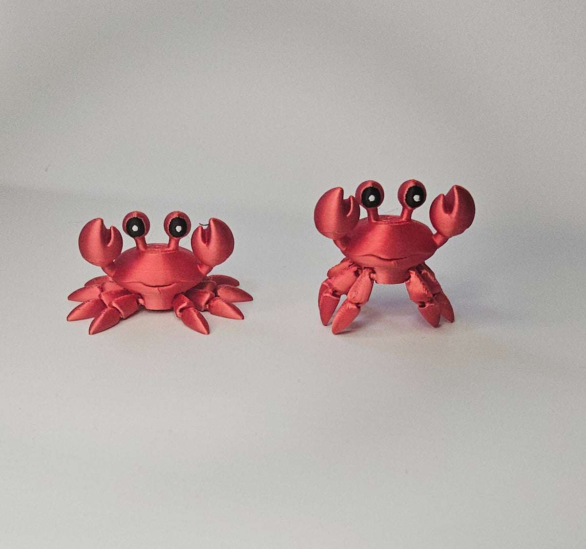 Crab Hatchling
