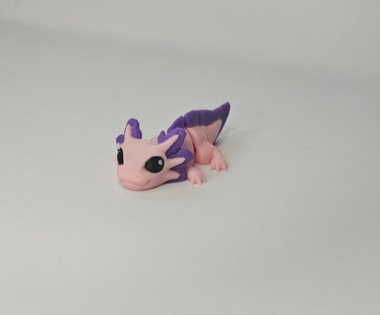 Axolotl Hatchling