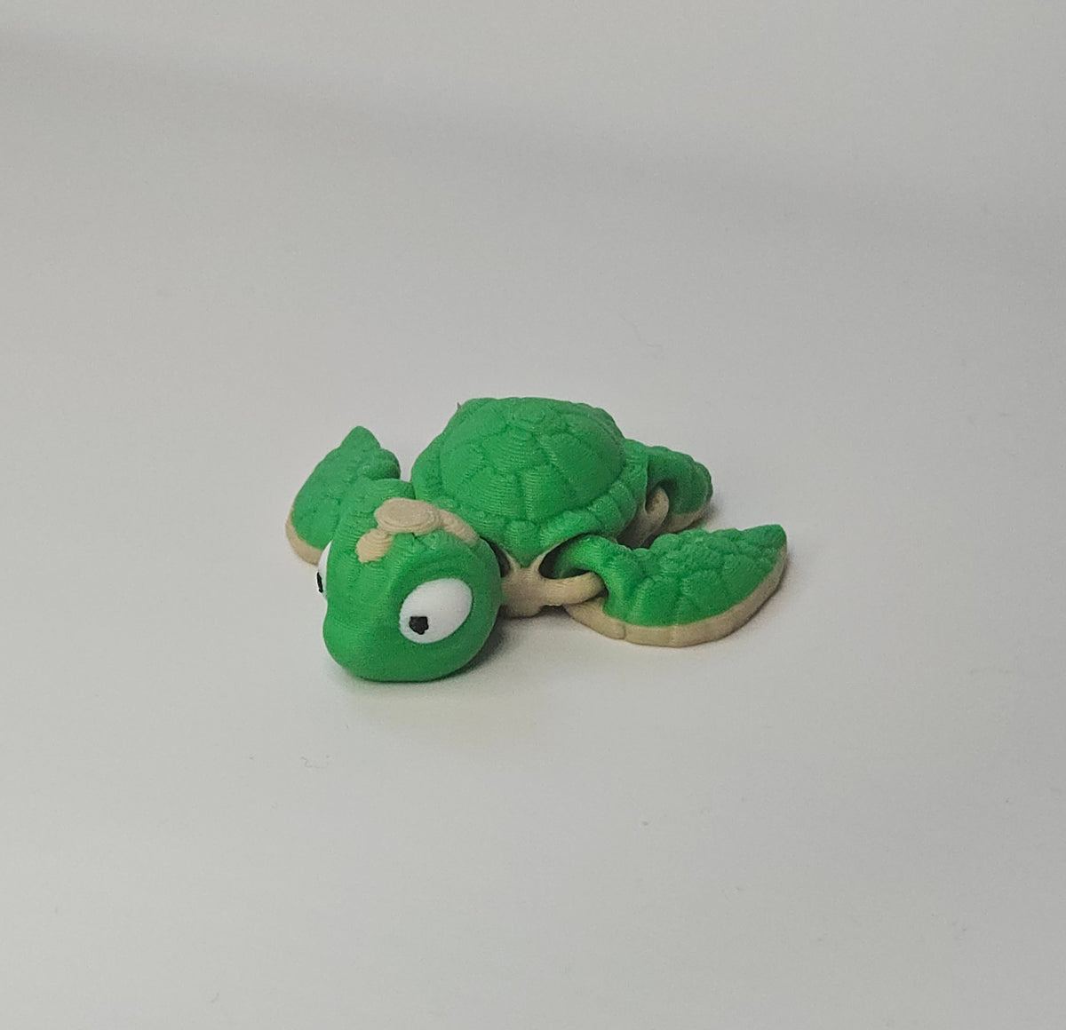 Sea Turtle Hatchling