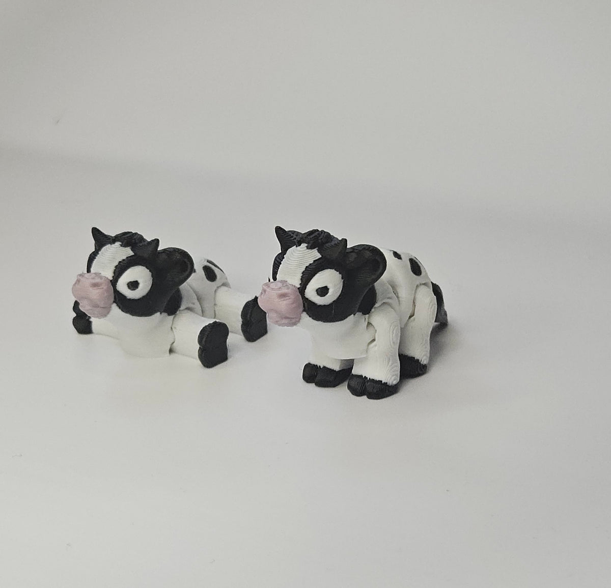 Cow Hatchling