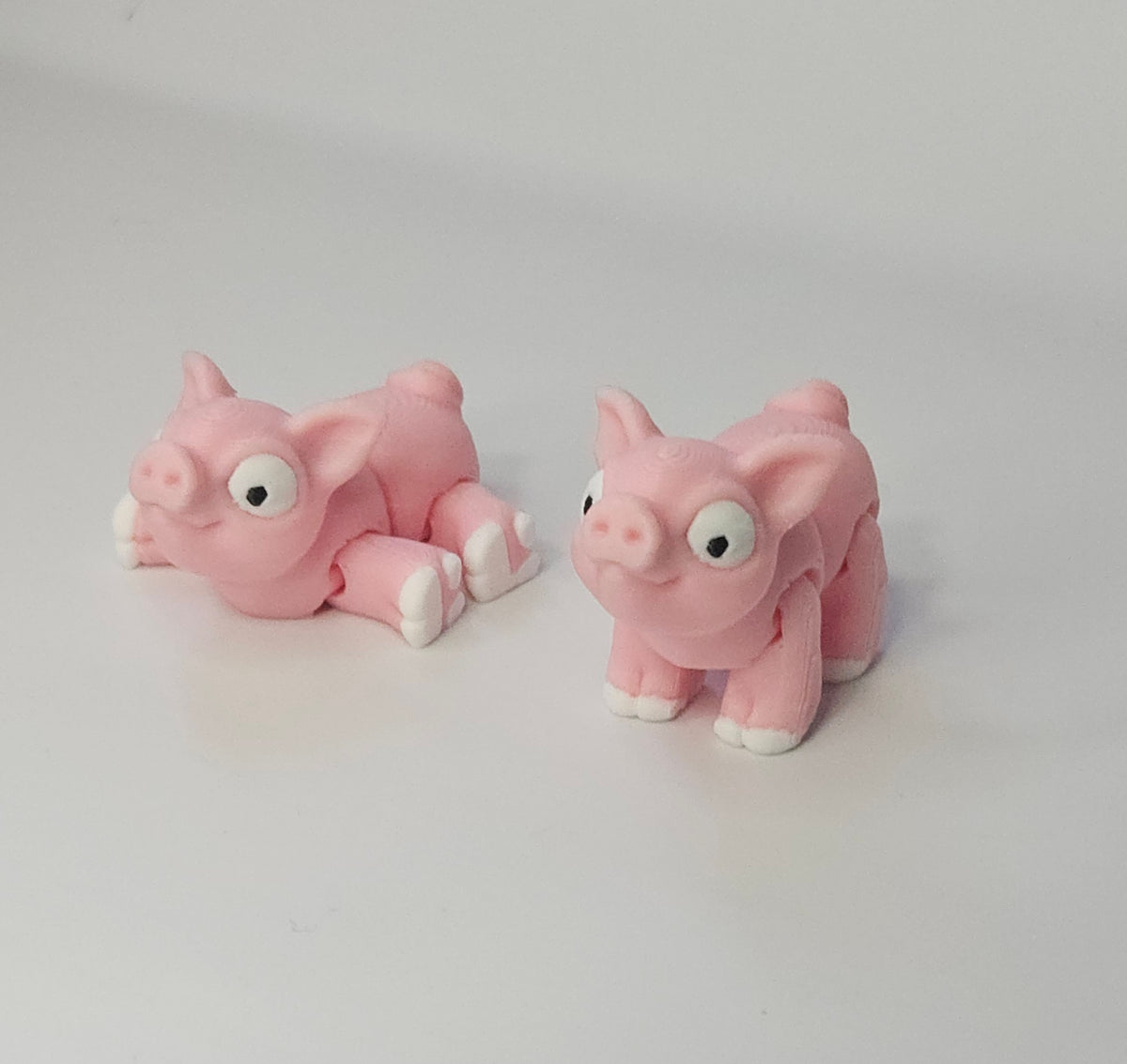 Pig Hatchling